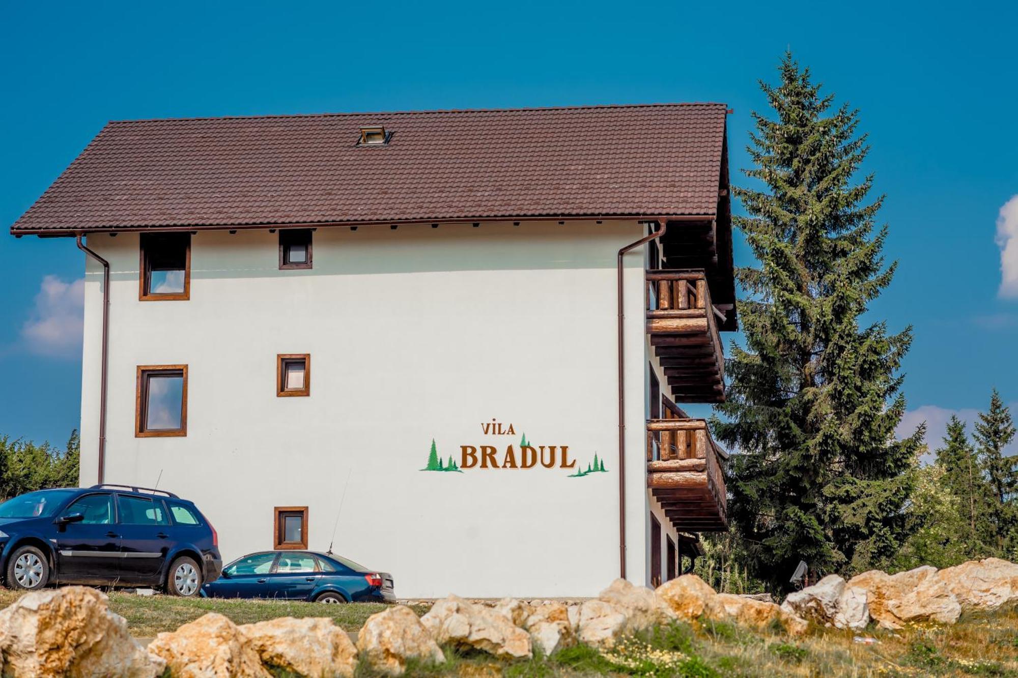 Cheile Gradistei Fundata Resort Buitenkant foto