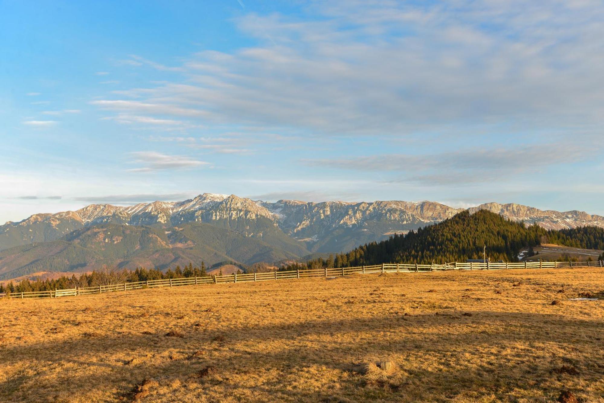 Cheile Gradistei Fundata Resort Buitenkant foto