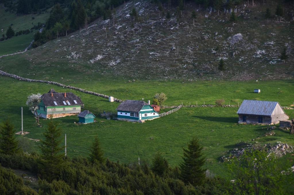 Cheile Gradistei Fundata Resort Buitenkant foto